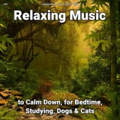 zZZz Relaxing Music to Calm Down, for Bedtime, Studying, Dogs & Cats