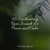 35 Enchanting Rain Sounds for Peace and Calm