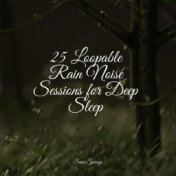 25 Loopable Rain Noise Sessions for Deep Sleep