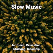 #01 Slow Music for Sleep, Relaxation, Studying, Insomnia