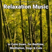 #01 Relaxation Music to Calm Down, for Bedtime, Meditation, Dogs & Cats