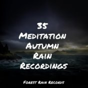 35 Meditation Autumn Rain Recordings