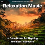 zZZz Relaxation Music to Calm Down, for Napping, Wellness, Recovery