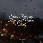 Stress Relieving Rain and Nature Sounds