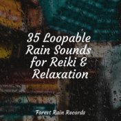 35 Loopable Rain Sounds for Reiki & Relaxation