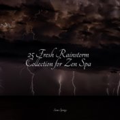 25 Fresh Rainstorm Collection for Zen Spa