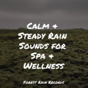 Calm & Steady Rain Sounds for Spa & Wellness