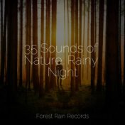 35 Sounds of Nature: Rainy Night