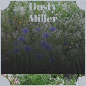 Dusty Miller