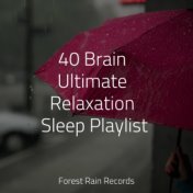 40 Brain Ultimate Relaxation Sleep Playlist