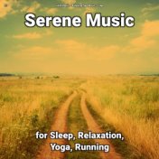 !!!! Serene Music for Sleep, Relaxation, Yoga, Running