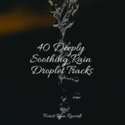 40 Deeply Soothing Rain Droplet Tracks