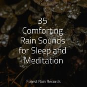 35 Comforting Rain Sounds for Sleep and Meditation