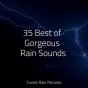 35 Best of Gorgeous Rain Sounds