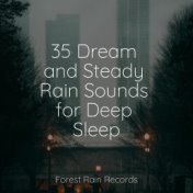 35 Dream and Steady Rain Sounds for Deep Sleep