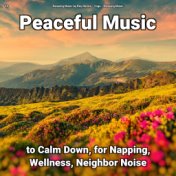 #01 Peaceful Music to Calm Down, for Napping, Wellness, Neighbor Noise