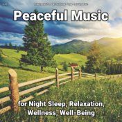 #01 Peaceful Music for Night Sleep, Relaxation, Wellness, Well-Being