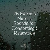 25 Famous Nature Sounds for Comforting & Relaxation