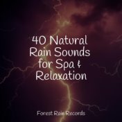 40 Natural Rain Sounds for Spa & Relaxation