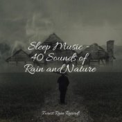 Sleep Music - 40 Sounds of Rain and Nature