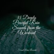 35 Deeply Peaceful Rain Sounds from the Workout