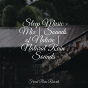 Sleep Music Mix | Sounds of Nature | Natural Rain Sounds