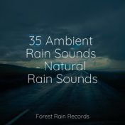 35 Ambient Rain Sounds - Natural Rain Sounds