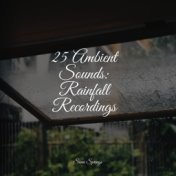 25 Ambient Sounds: Rainfall Recordings