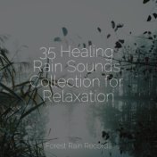 35 Healing Rain Sounds Collection for Relaxation