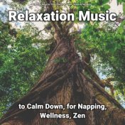 #01 Relaxation Music to Calm Down, for Napping, Wellness, Zen