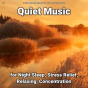 #01 Quiet Music for Night Sleep, Stress Relief, Relaxing, Concentration