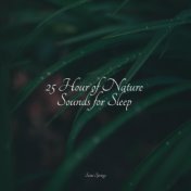 25 Hour of Nature Sounds for Sleep