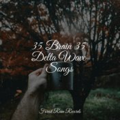 35 Brain 35 Delta Wave Songs