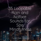 35 Loopable Rain and Nature Sounds for Spa Mindfulness