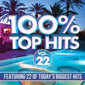 100% Top Hits, Vol. 22