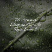 25 Summer Sleep and Gentle Rain Sounds