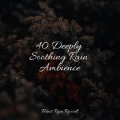 40 Deeply Soothing Rain Ambience
