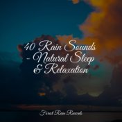 40 Rain Sounds - Natural Sleep & Relaxation