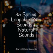 35 Spring Loopable Rain Sounds & Natural Sounds