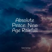 Absolute Peace: New Age Rainfall
