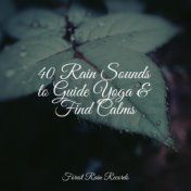 40 Rain Sounds to Guide Yoga & Find Calms
