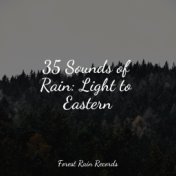 35 Sounds of Rain: Light to Eastern