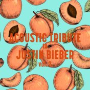 Acoustic Tribute to Justin Bieber, Vol. 2 (Instrumental)