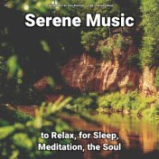 #01 Serene Music to Relax, for Sleep, Meditation, the Soul