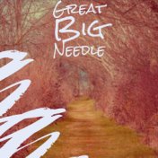 Great Big Needle