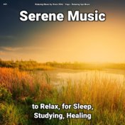#01 Serene Music to Relax, for Sleep, Studying, Healing