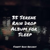 35 Serene Rain Drop Album for Sleep