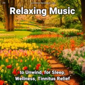 zZZz Relaxing Music to Unwind, for Sleep, Wellness, Tinnitus Relief