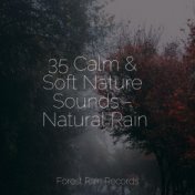 35 Calm & Soft Nature Sounds - Natural Rain