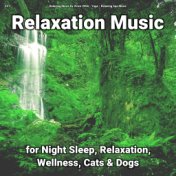 #01 Relaxation Music for Night Sleep, Relaxation, Wellness, Cats & Dogs